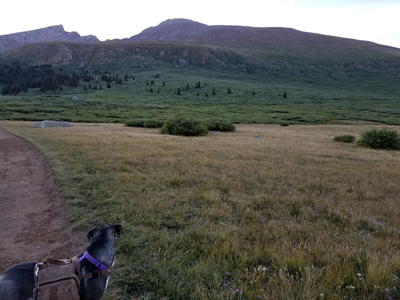 Mount Bierstadt (09).jpg